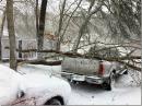 The January nor'easter dropped trees and power lines. [Courtesy of Wesley McCormick, K1GTX]